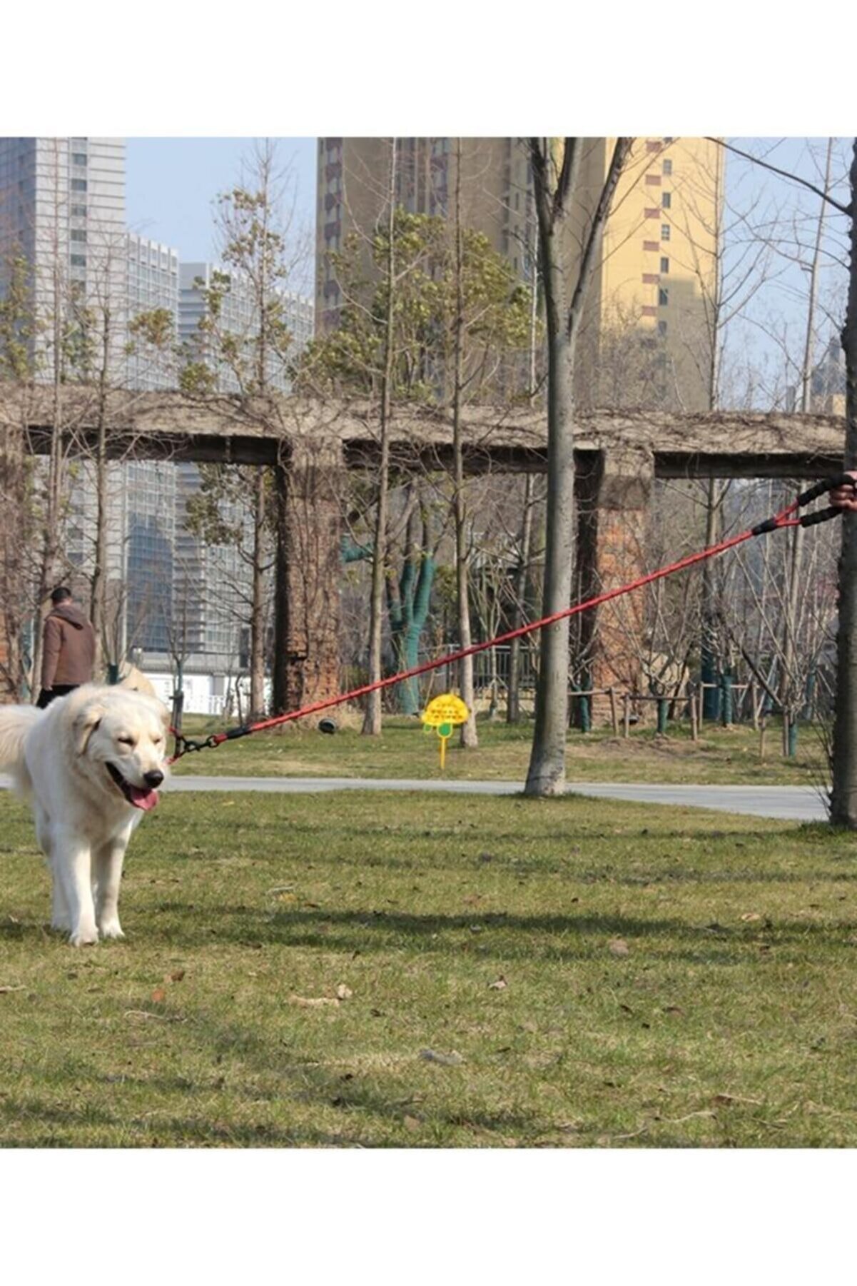 Kırmızı Gezdirme Tasması Reflektörlü Köpekler İçin  130 cm Halat Orta ve Büyük Boy Köpekler İçin